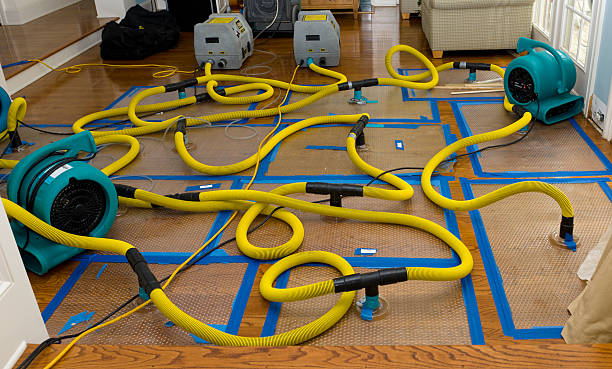 Professional Emergency Water Removal technician working in Birnamwood, WI